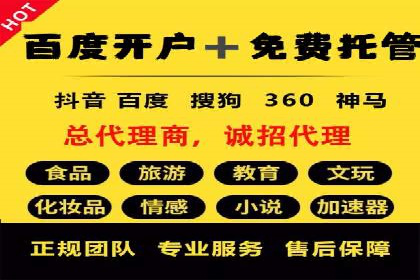 某电商平台的SEM服务全解析